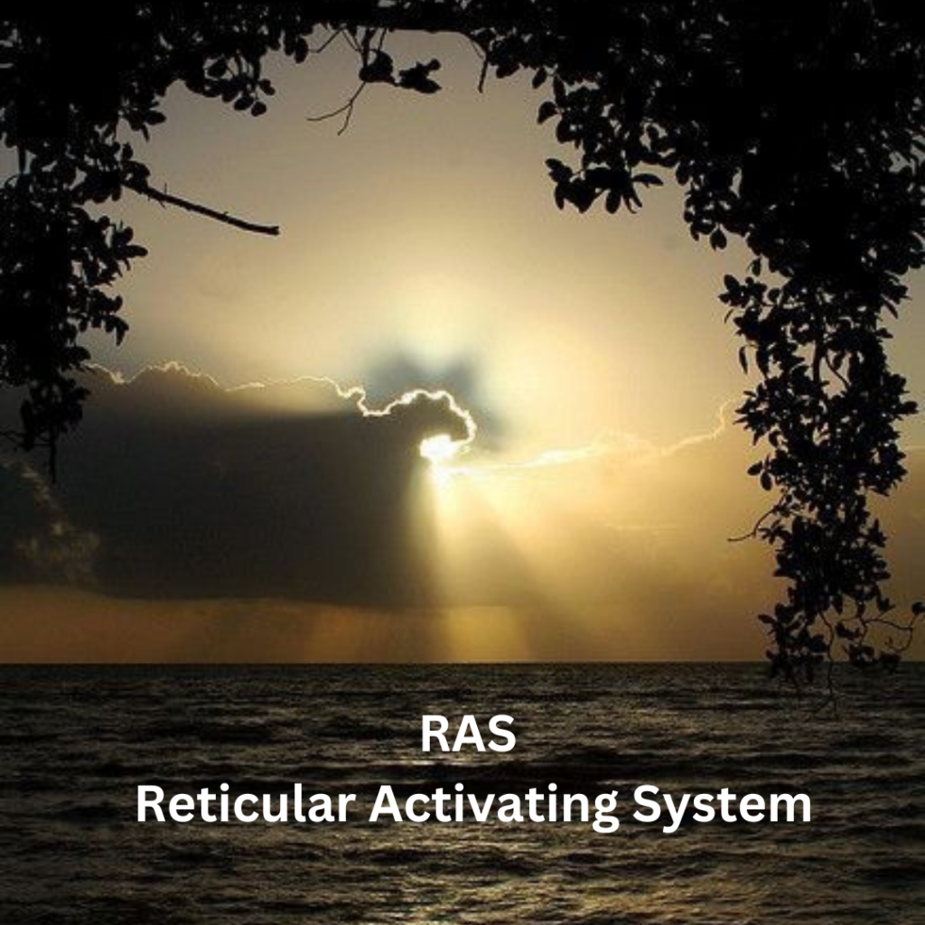 RAS Reticular Activating System